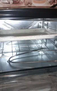 توستر بوش