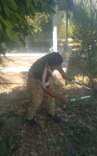 خدمات‌باغبانی‌تخصصی...