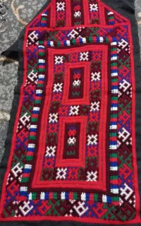 زیع آستین