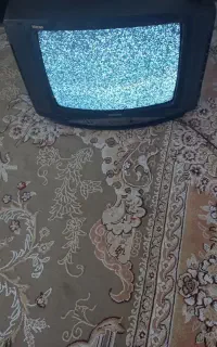 تلویزیون
