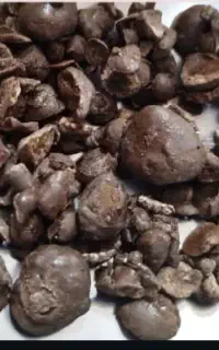 مومنایی