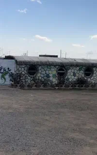 یک نفر همکار سالن کار