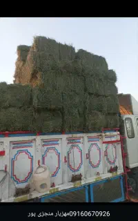 یونجه خشک خشک درجه یک
