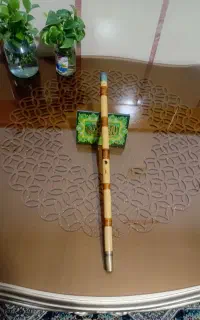نی مارک شفیعی