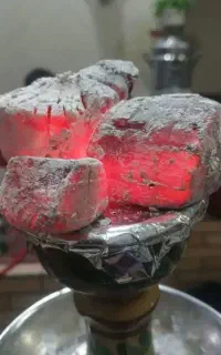 ذغال انجیر