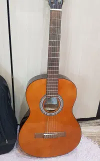 گیتار هافنر