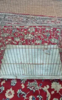 قفس پرنده