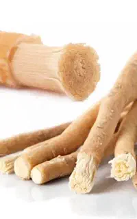 مسواک چوپی بلوچی، تمیزی دندونات رو تضمین بدون