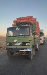 کاه گندم و جو