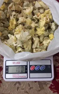 گل ختمی خشک شده