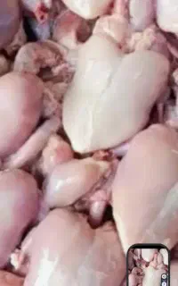 غذای مقوی سگ و گربه بهتر از اسکلت و پا