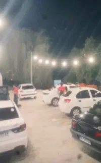 نیرو کارواش کار بلد