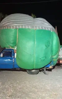 کاهه