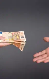 وامیار ضامنین