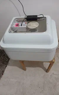 دستکاه جوجه کشی اسگندری