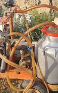 شیردوش کارکرده