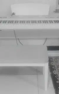 پیانو برگمولر p10