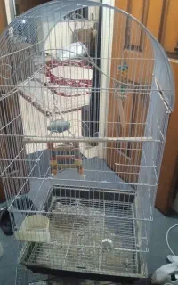 قفس پرنده