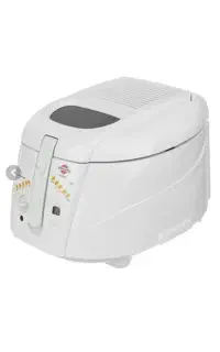 سرخ کن با روغن