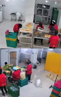 استخدام نیرو خانم کارگاه ساندویچ سرد