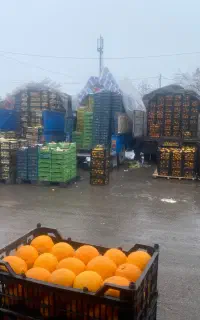 حسابدار