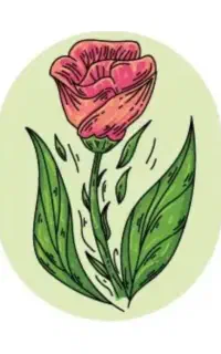 طراحی کارت ویزیت،لوگو،پوستر