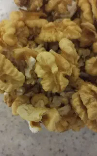 گردو تازه سبز