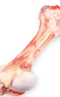 قلم