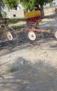 ریگ ینجه