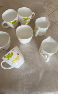 آرکوپال