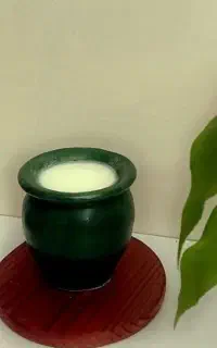ماست محلی ماست چکیده محلی دوغ محلی خانگی