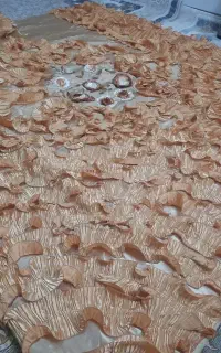سرویس رو تختی نباتی