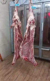 گوشت