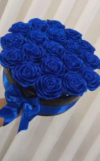 گل روبانی زیبای جاودان