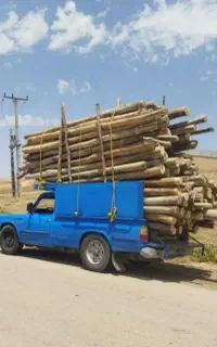 فروش خرید تیرچوب سقفی اتاقی وضایعاتی چوب تروخشک