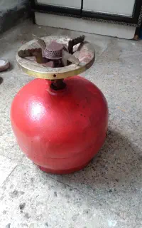 پیک‌نیک سالم با سرش کوچک هست