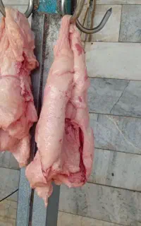 خریدار وفروش دنبه