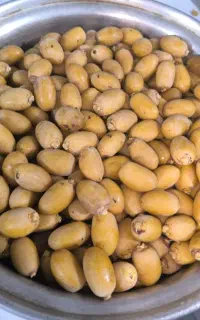 خارک رایگان