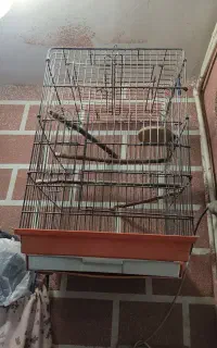 قفس پرنده سایز بزرگ