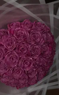 گل روبانی زیبا