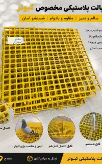 پالت کبوتر مقاوم و قابل شستشو