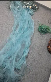 تور کاروف کنار ساحل