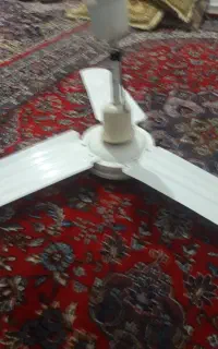 پنکه سقفی(هرسین)
