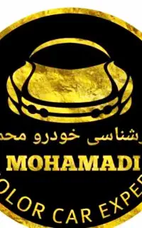 اولین مرکز تشخیص رنگ و دیتیلینگ در شهر مجلسی