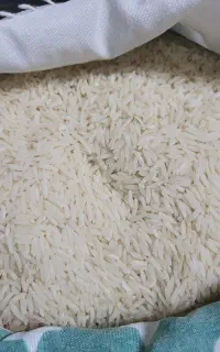 برنج طارم هاشمی