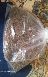 دارو گیاهی بسته 150هزار