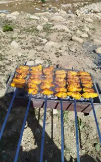 استخدام