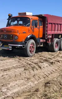 مایلراوراقی درجه یک