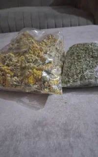 پخش اویشن و برنجاس و زعفران