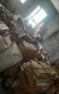 کارتن